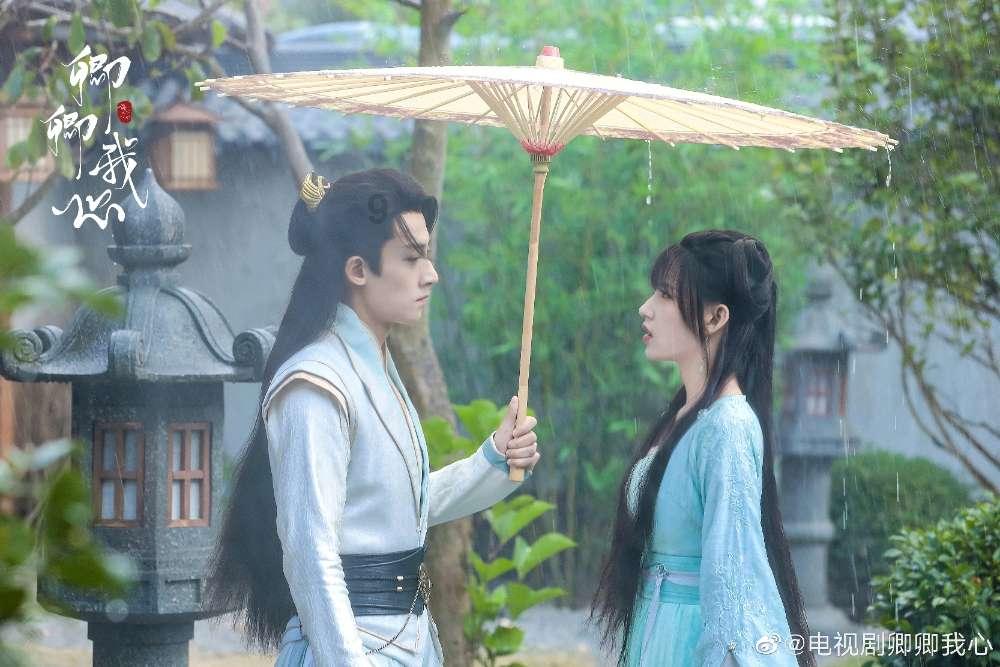 小猫钓鱼正版下载中文版